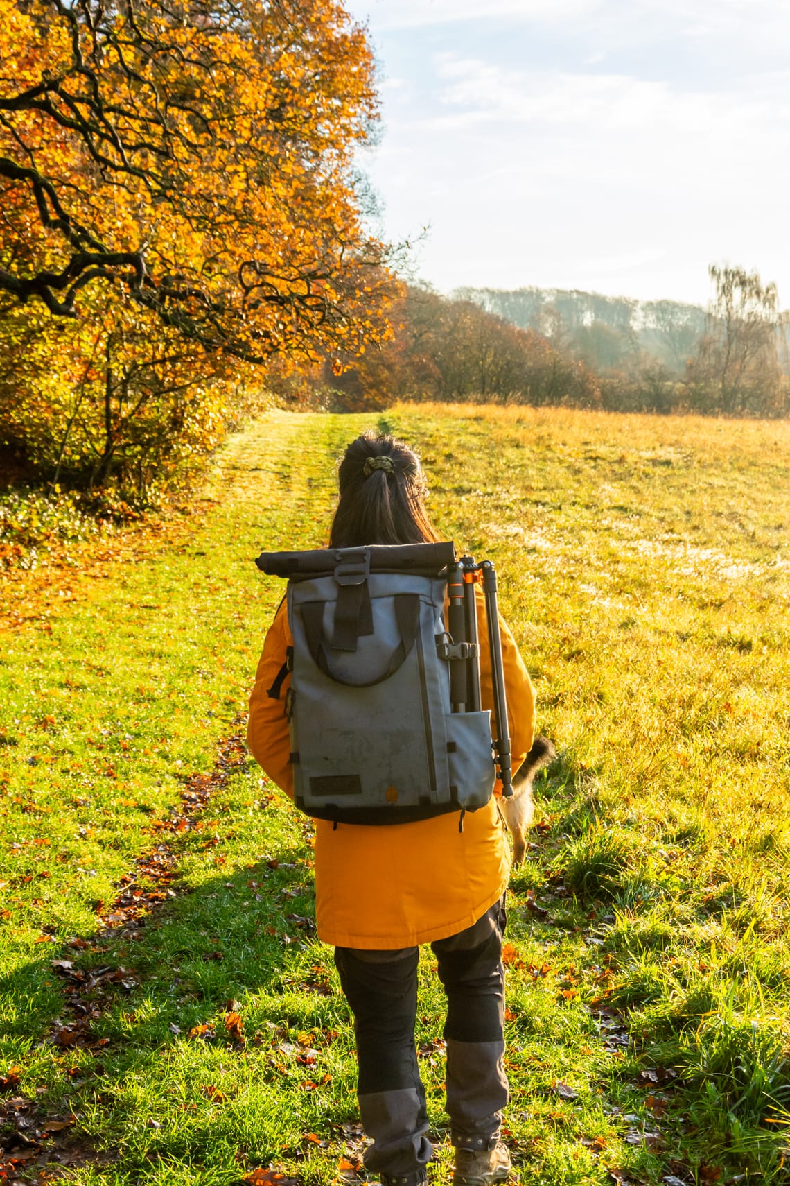 Vissenbjerg bakker - 2023 - 11