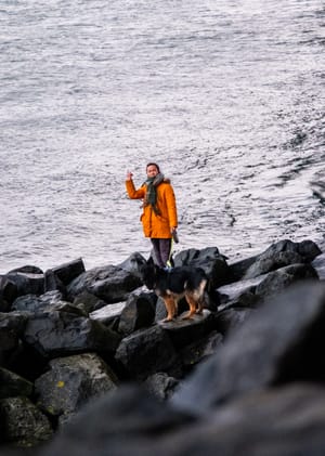 Storebælt - 2024 - 01 - 20